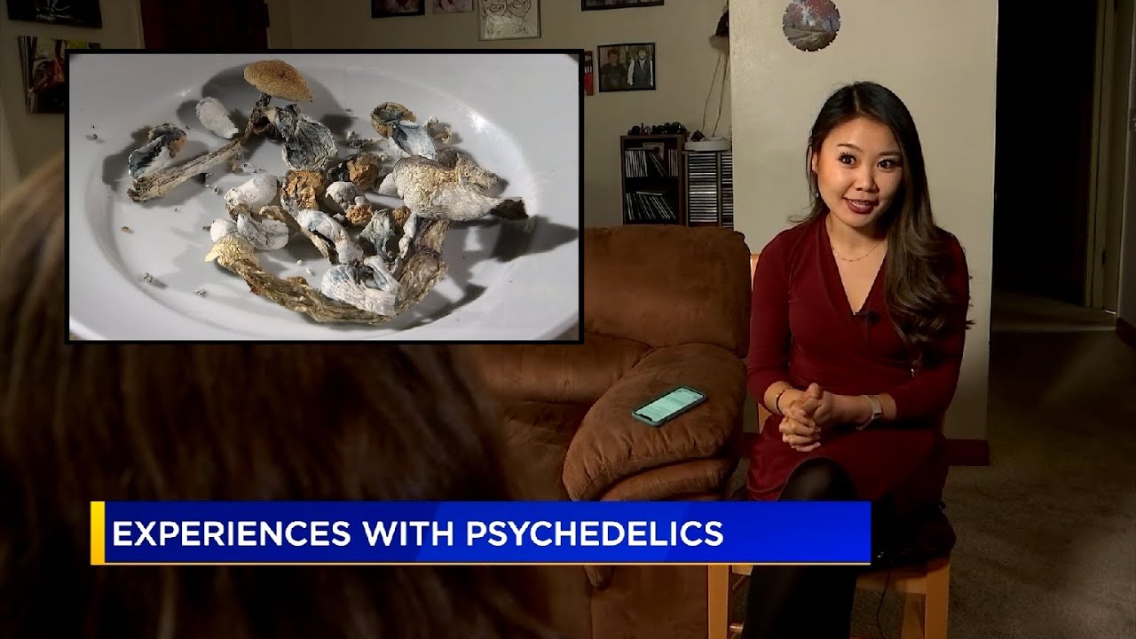 Magic mushrooms, from moms to home growers