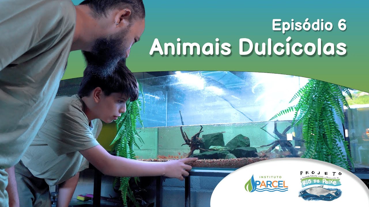 Episódio 06 - Animais Dulcícolas