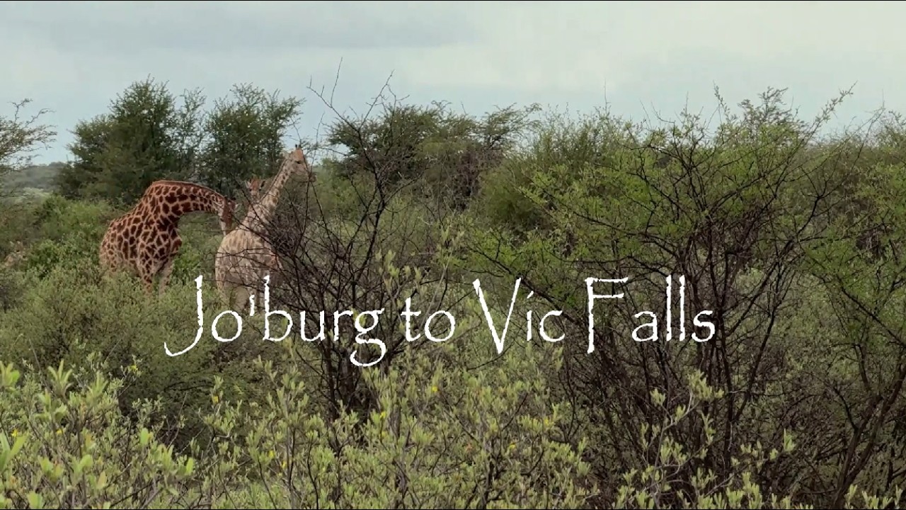 AFRICA 2026 - Jo'burg to Vic Falls (Scenic Footage - PART 1)