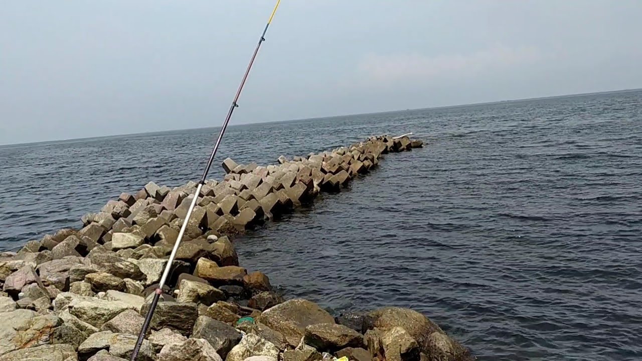Terkini‼️ Rute Mancing ke Spot Batu Bintang Ancol Jakarta Utara