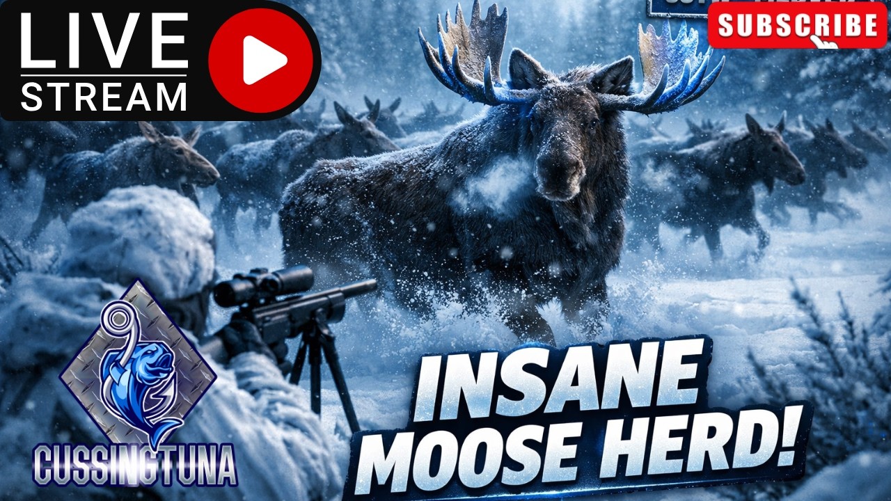 TheHunter: Call Of The Wild Tahr And Wolf Feeder Grind!!! NEW FEEDERS [LIVE]