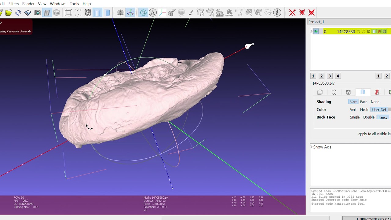Meshlab tutorial for transforming 3D placental scans