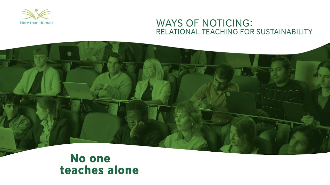 05 No one teaches alone | Ways of Noticing: Relational Teaching for Sustainability