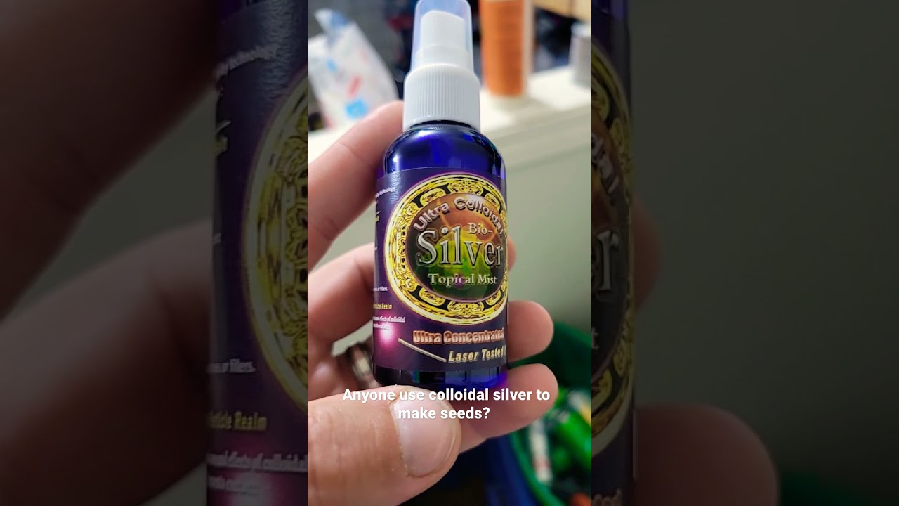 Follow along to watch how to create feminized seeds from a female
