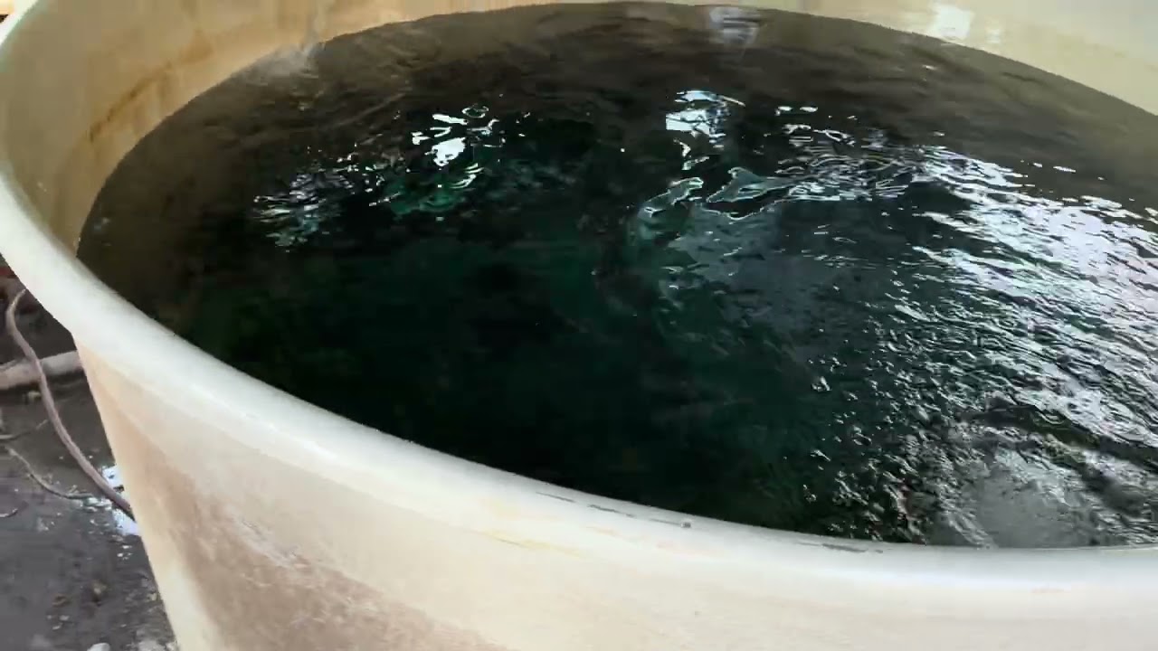 Tägliche Routine auf der Anlage