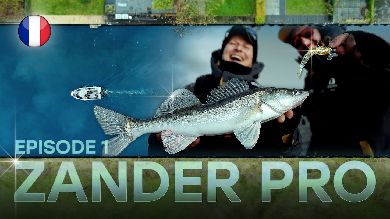 ZANDER PRO 5 - Épisode 1 (version française)
