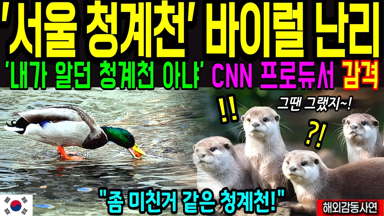 한국청계천 또 난리났다! 서울 청계천이 이 정도로 발전했다고? 전세계가 놀란 CNN 다큐멘터리 화제! 98년 이후 청계천을 다시 찾은 기자의 눈물