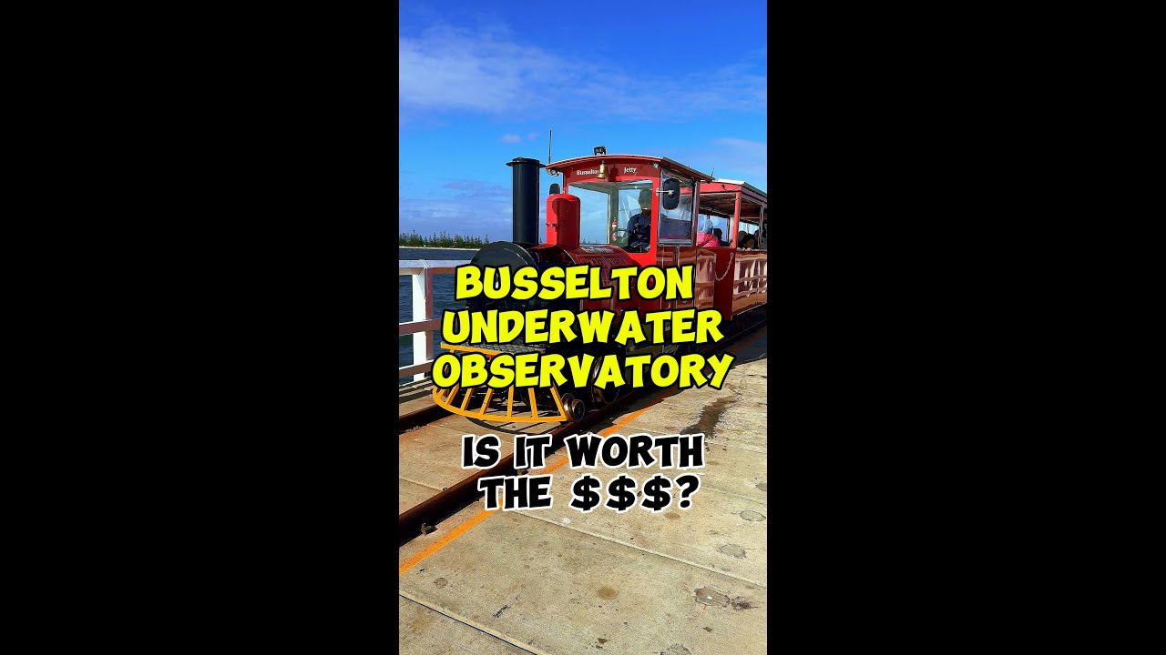 Busselton Jetty and Underwater Observatory Is it worth the money?
