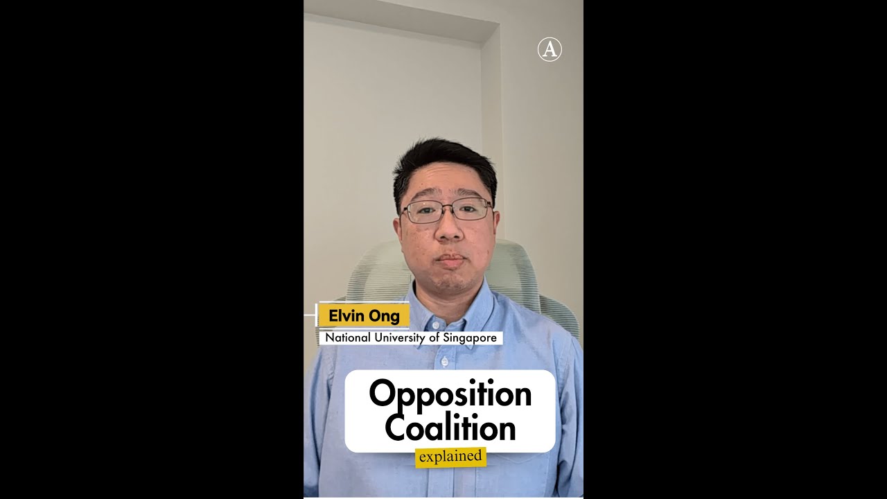 General Elections explained: What are opposition coalitions?