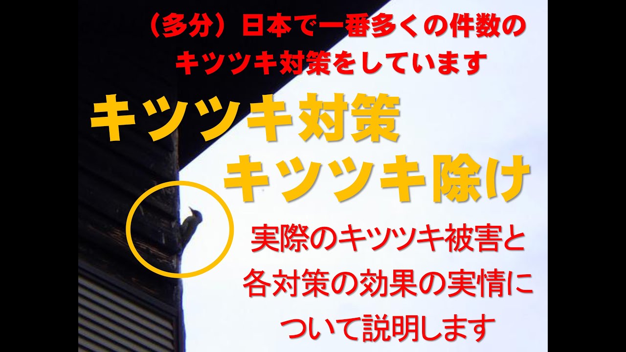 キツツキ対策、キツツキ除け