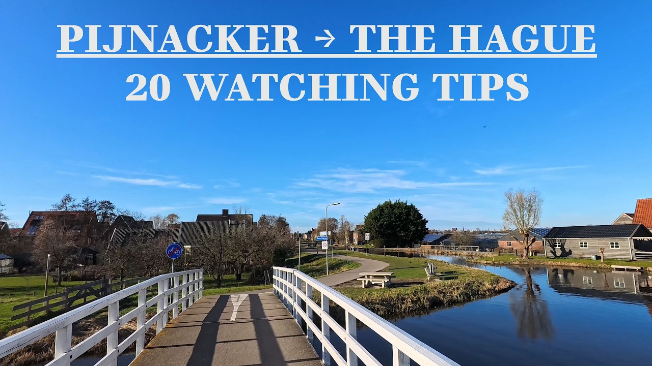 Cycling or Driving from Pijnacker to The Hague — What Would You Choose? | the Netherlands