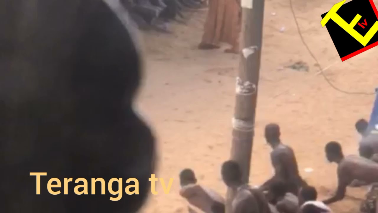 la danse du kankoura dioudiou cissé  kounda pa cissé lambiance 100/100