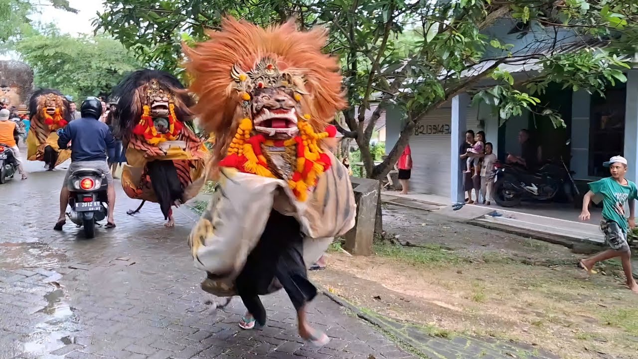 The Best Momen ‼️3 Barongan Ngamuk Kirab Seni Barong KEMBANG AJI Joyo live Jepon 