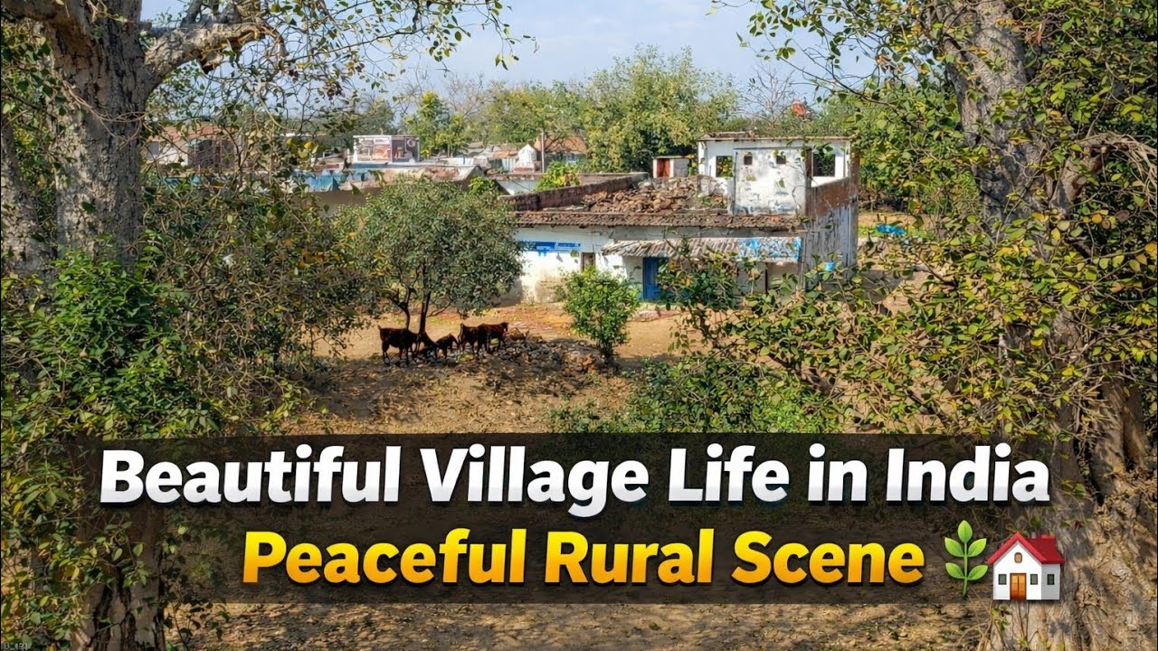 Beautiful Village Life in India | Peaceful Rural Scene 🌿🏡