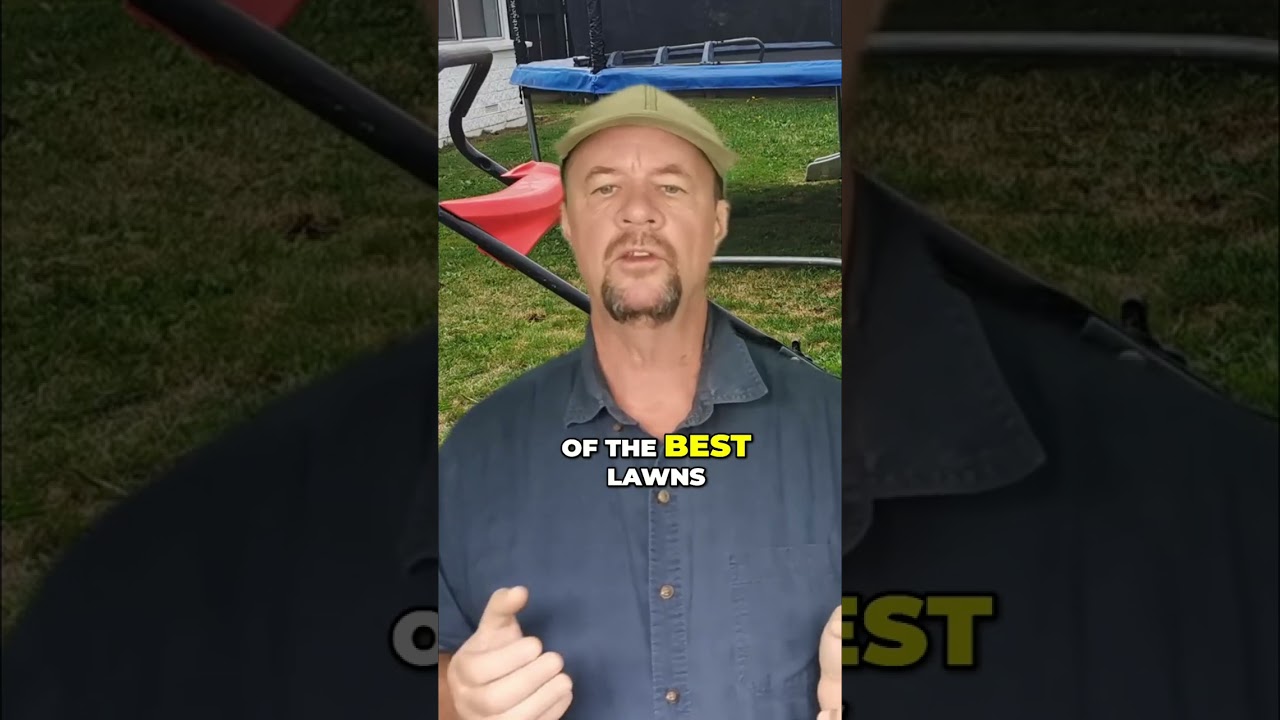 Downsizing My Business: A Profitable Lawn Care Strategy #shorts