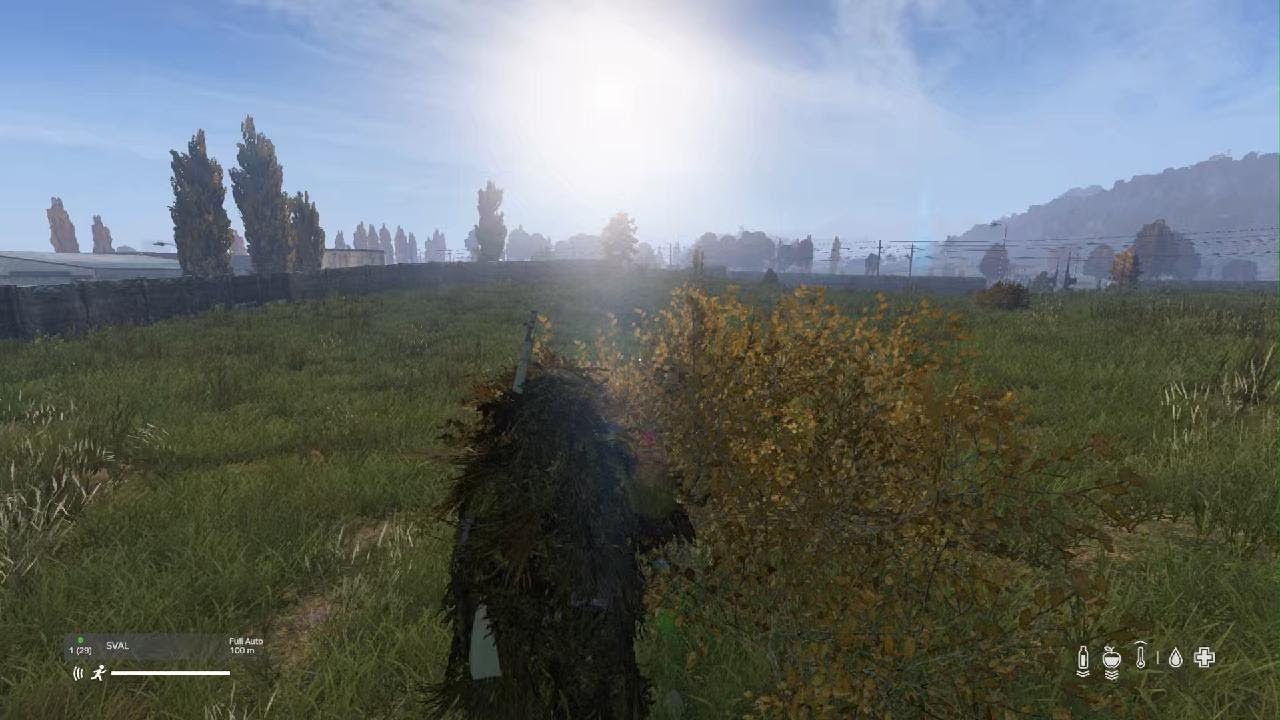 DayZ Ran him down