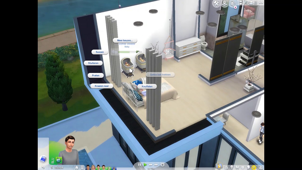 in sims een tweeling gekregen en tiener is jongvolwassenen