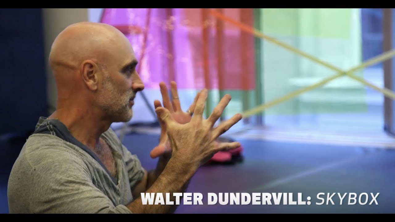 Walter Dundervill: Skybox