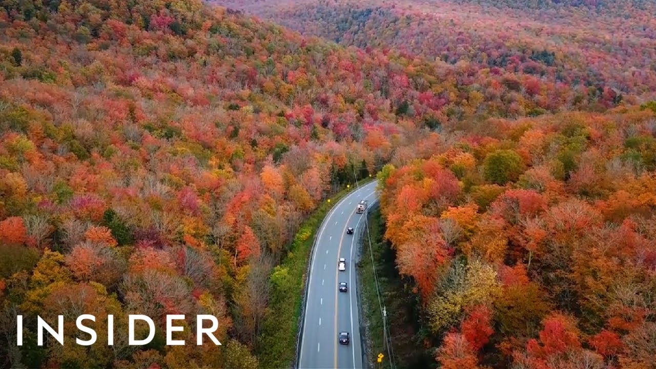 What Fall Looks Like Around The World