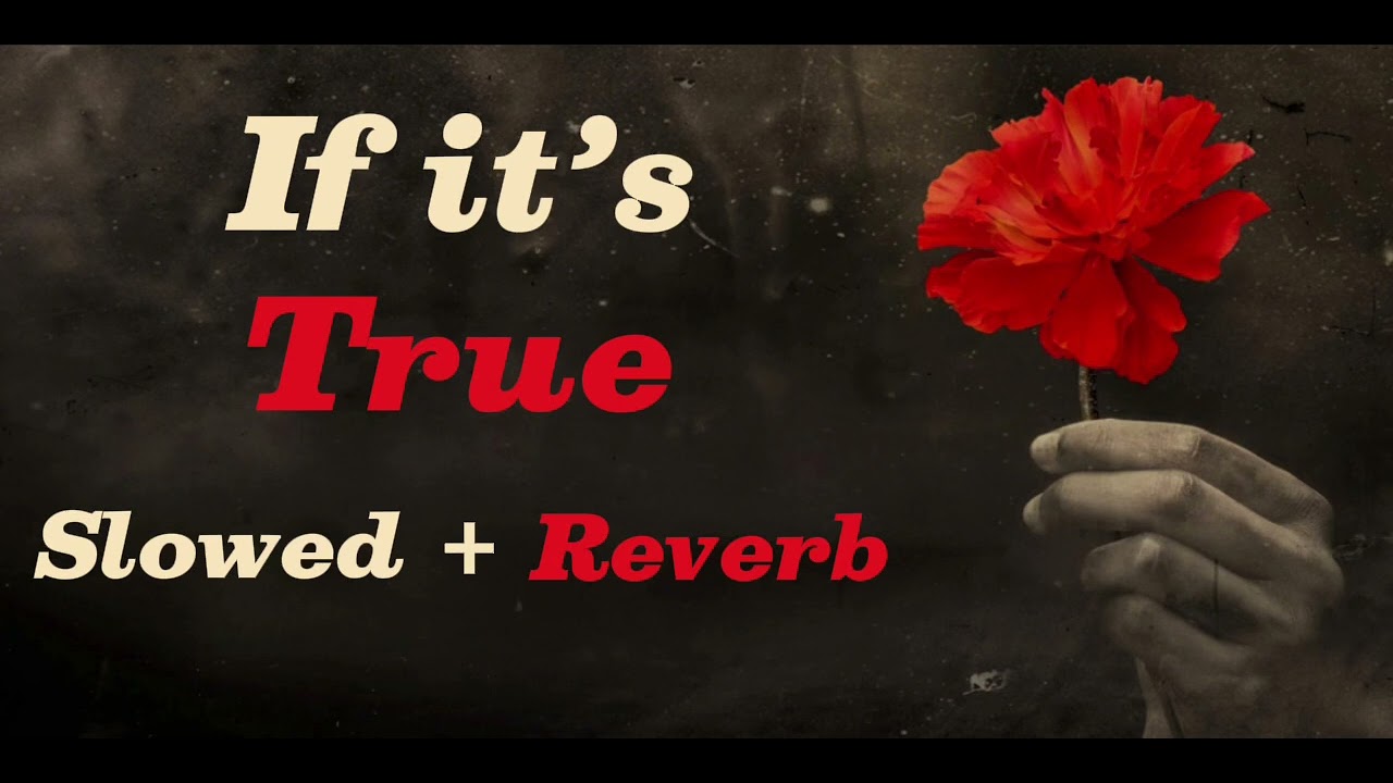 HADESTOWN-If it’s True (Slowed + Reverb)