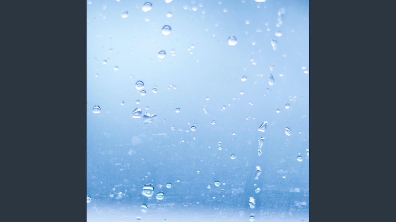 Lotus Rain