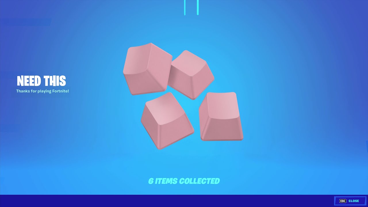Fortnite Players Need This 😍