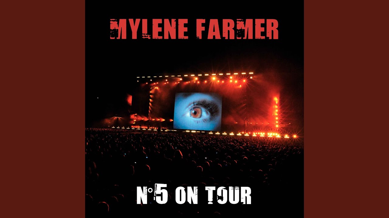 Si j'avais au moins... (N°5 On Tour Live)