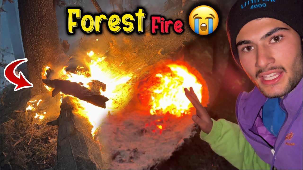 Neelum Valley Forest Fire 🔥 | We Tried to Stop It! | Shoboo Daily Vlog