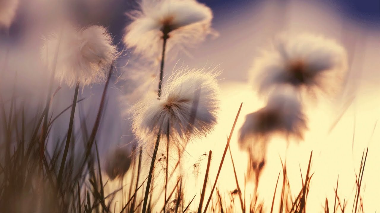 Morgenmusik f&uuml;r positive Energie - Leichte Instrumentalmusik f&uuml;r die Stimmung erheben