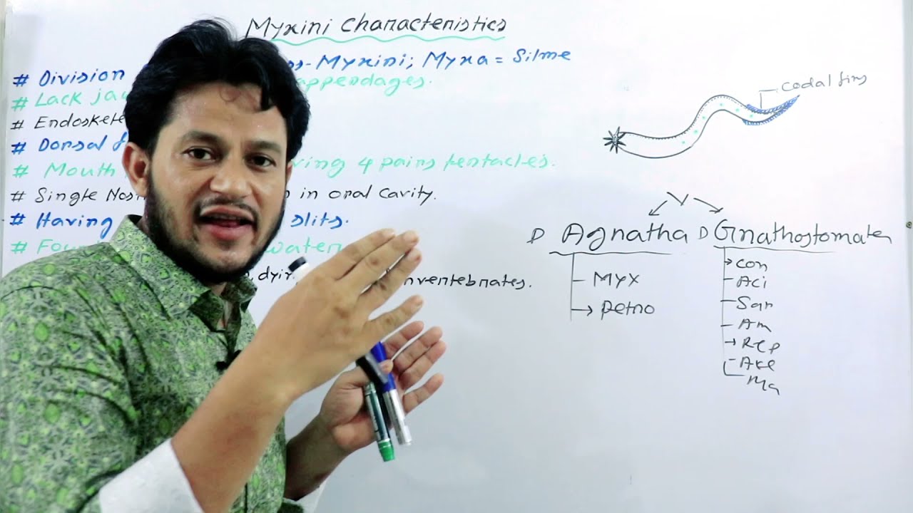 Myxini Characteristics - Agatha Myxini - Hagfish - মিক্সিনি শ্রেণীর বৈশিষ্ট্য