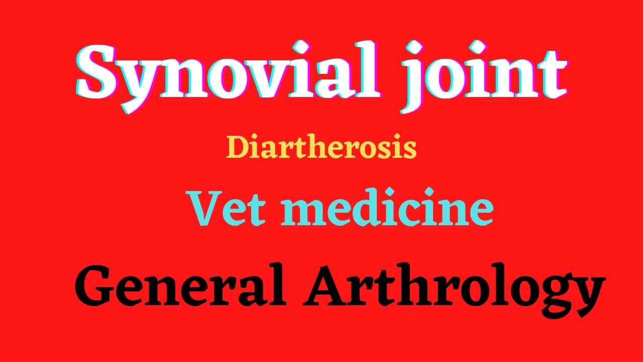 Synovial joint 🐎 General arthrology 🐕 Vet Medicine 🐐 كلية الطب البيطرى  .