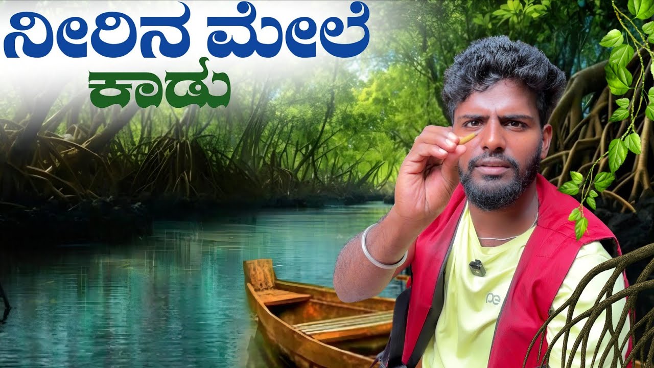ನೀರಿನ ಮೇಲೆ ಕಾಡು ನೋಡಿದ್ದೀರಾ? 😱 | Pichavaram Mangroves 🚤 | Chidambaram Temple Experience | Day 48