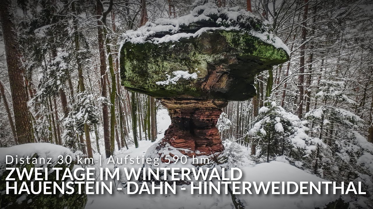 Zwei Tage im Winterwald | Hauenstein - Dahn - Hinterweidenthal | Wandern in der Pfalz