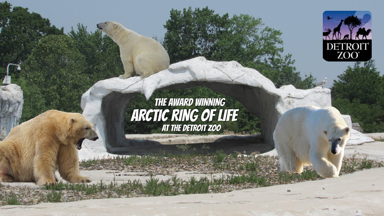 Arctic Ring of Life (2001) at the Detroit Zoo | Exhibit Tours Ep. 37