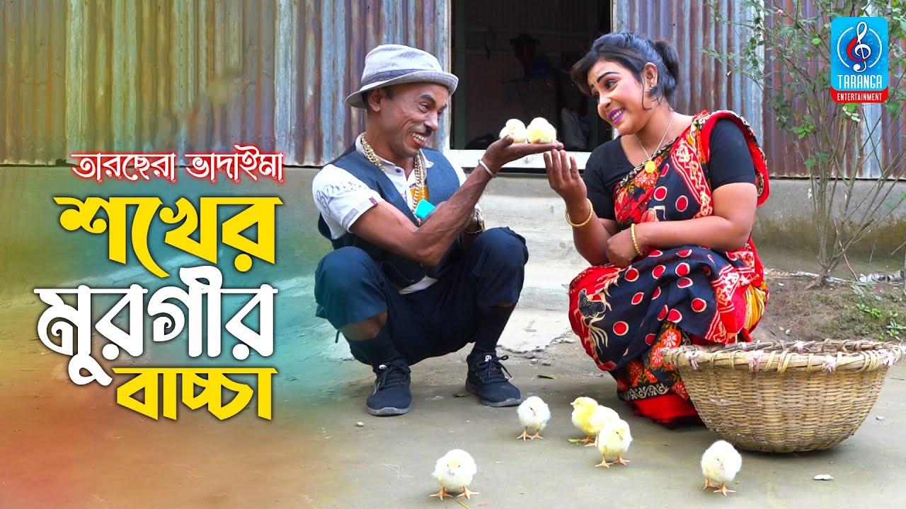 শখের মুরগীর বাচ্চা | তারছেরা ভাদাইমা | Shokher Murgir Baccha | Tarchera Vadaima | Vadaima New Koutuk