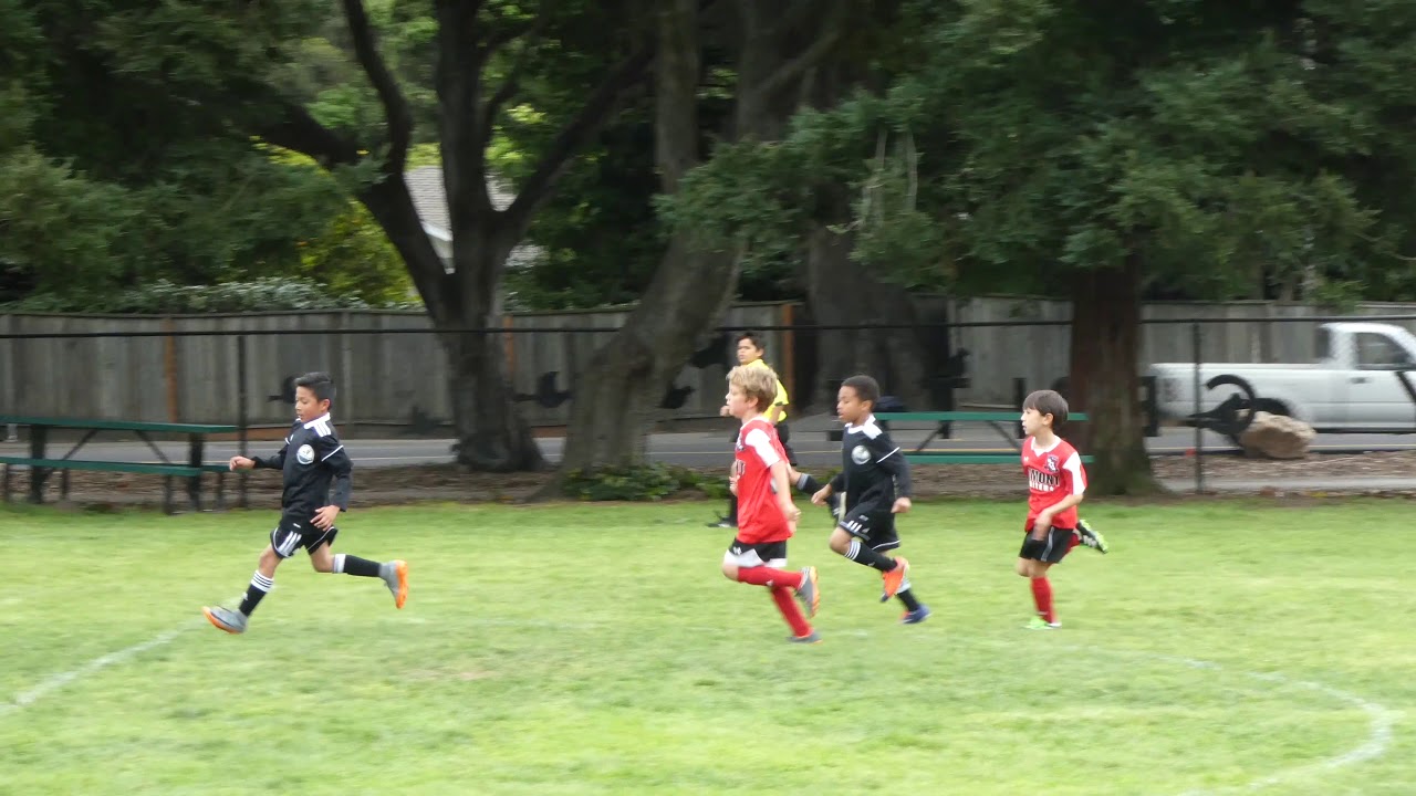Belmont United : Rangers Vs. HYSL Premier Scorpions