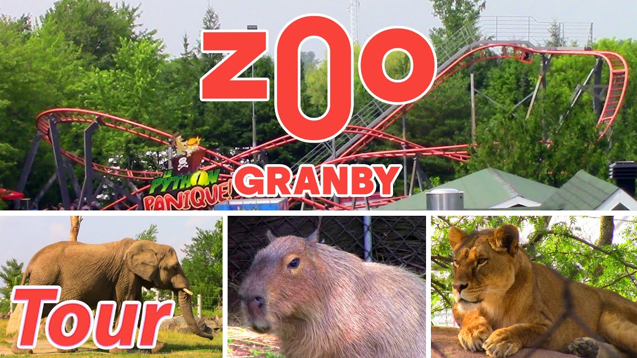 Granby Zoo (Near Montr&eacute;al) | Tour