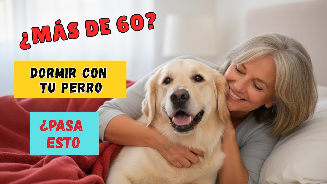 ¿Más de 60? Dormir Con Tu Perro Podría Afectarte MÁS De Lo Que Crees