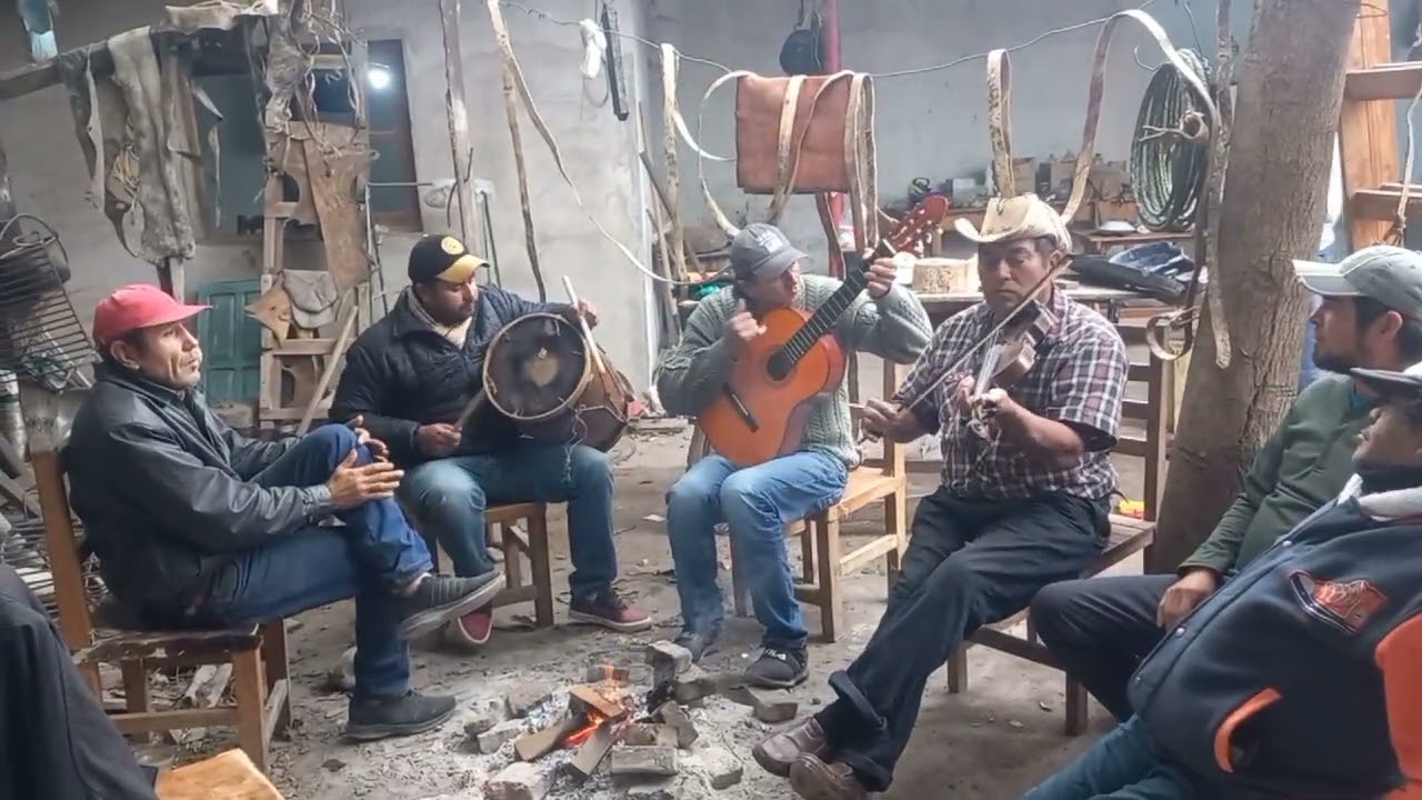 Violineando con los changos