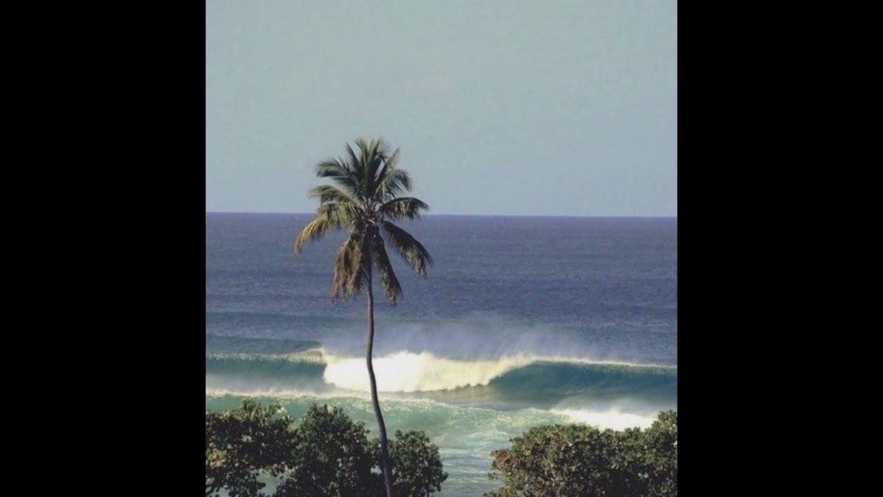 indie rock | surf curse type beat - 