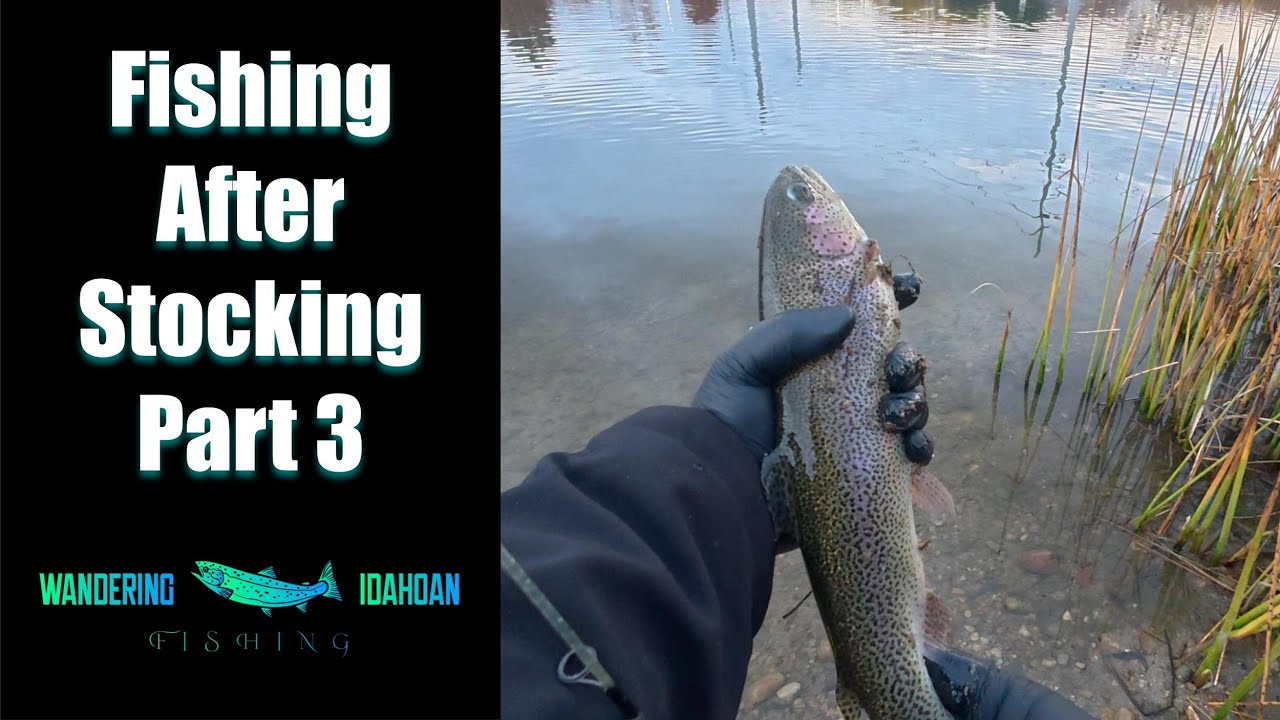Fishing After the Pond is Stocked, Part 3