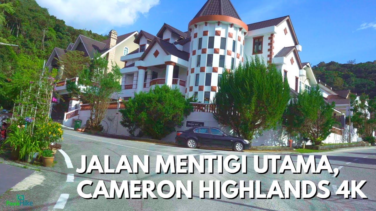 【4K】JALAN MENTIGI UTAMA, CAMERON HIGHLANDS