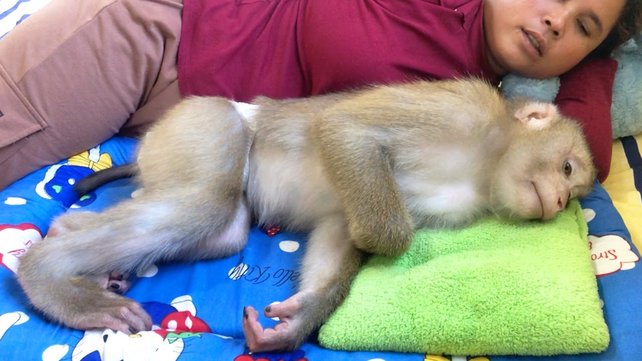 Good Boy Jason Compelling Relax Very Cozy Wait Mom Intimately Care