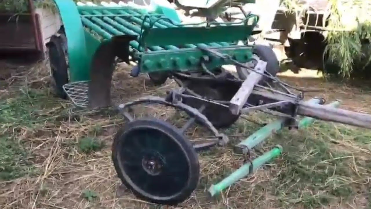 ЛОШАДИ/КОННЫЙ ПАРК ОТЦА СТЕФАНА/КУБАНЬ