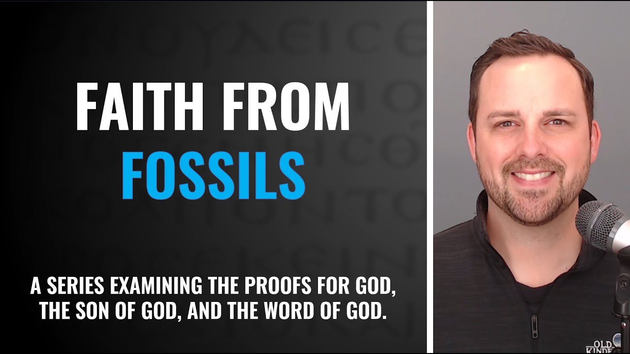 Fossils are Proof that the Biblical Flood Actually Happened