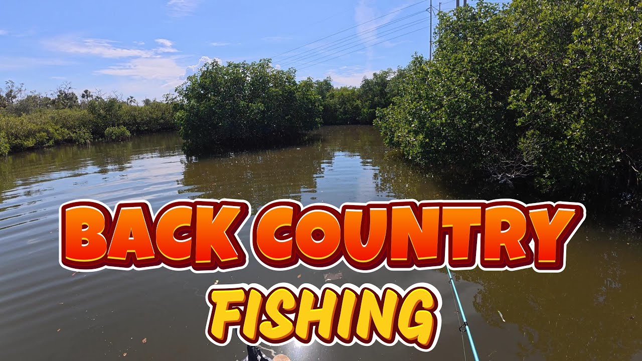 Fishing Tampa Bay back country looking for a MONSTER FISH