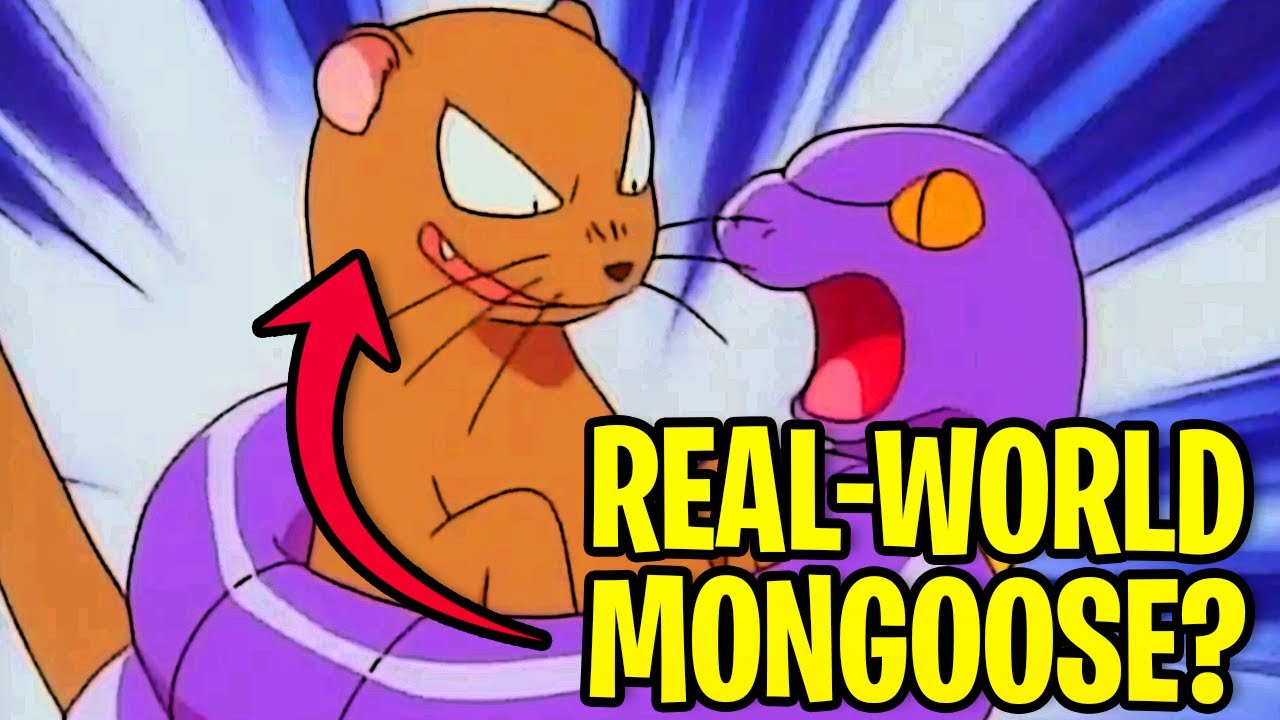 Моменты «Что за хрень» в Pokemon (S01E20) | ПРИЗРАК МЕЙДЕН-ПИКА | Гастли превращает Брока и Джейм...