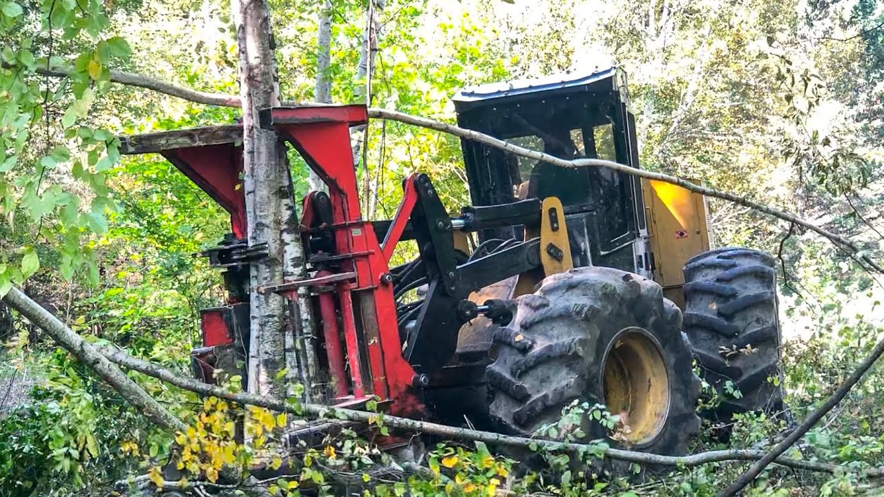 The Cat 573C Feller Buncher!!