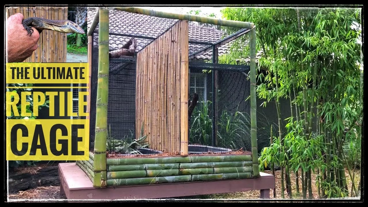 INSANE REPTILE CAGE BUILD