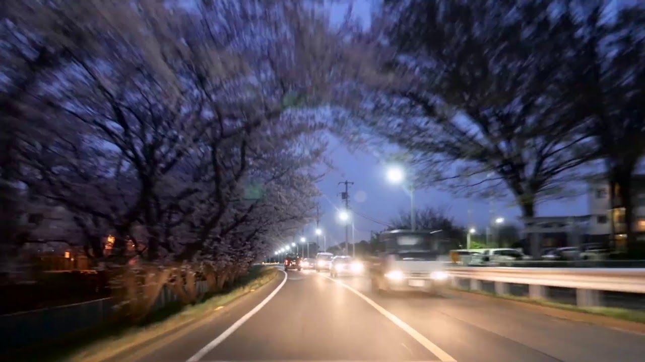 府中 - 稲城 - 調布  是政橋 多摩川原橋 倍速 2016年4月 BGM